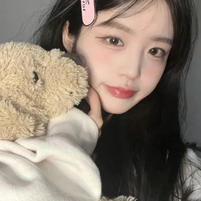 案中案