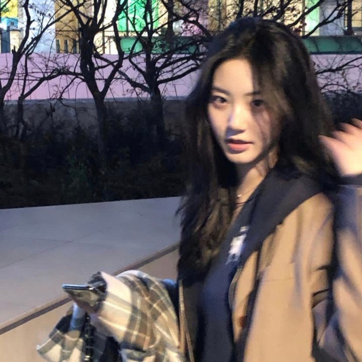 爱在猫咪疗愈时